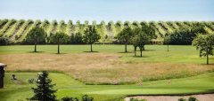 Château des Vigiers Golf & Country Club