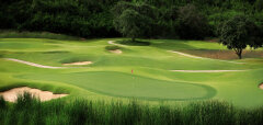 Golfové hřiště s greenem, bunkery a stromy v pozadí