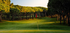 Golfové hřiště s červenou vlajkou a stromy kolem fairwaye
