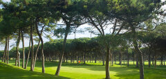 Golfové hřiště s trávníkem a stromy za slunečného dne
