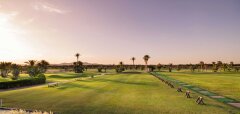 Golfové odpaliště s palmami za soumraku na PalmGolf Marrakech Palmeraie