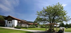 Golfové hřiště s klubovnou, stromem a golfovým vozíkem
