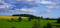 Zelené golfové hřiště s jezírkem a stromy pod modrou oblohou
