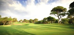 The Montgomerie Maxx Royal Golf