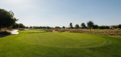 Golfové hřiště s upraveným greenem a stromy v pozadí