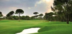 The Montgomerie Maxx Royal Golf