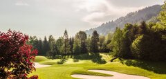 Golfové hřiště obklopené stromy a kopci za slunečného dne