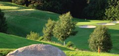 Golfové hřiště s jezírkem, kamenem a stromy v pozadí