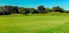Golfové hřiště s vlajkou a stromy v pozadí