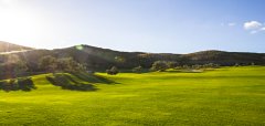 Alferini Golf Club