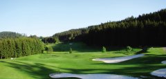 Golfové hřiště s pískovými bunkry a okolními stromy