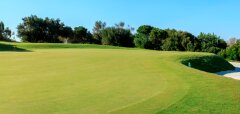 Golfové hřiště s greenem a stromy v pozadí