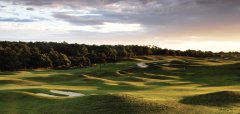 Golfové hřiště s pískovými bunkry a stromy v pozadí