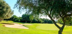 Golfové hřiště s pískovým bunkrem a stromy v pozadí