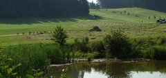 Golfové hřiště s jezírkem a lesem v pozadí