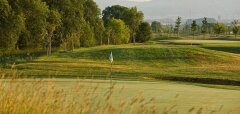 Golfové hřiště se zelení a vlajkou za stromy a kopci