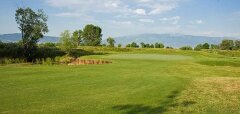 Golfové hřiště s trávníkem a stromy na pozadí