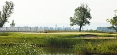 Golfové hřiště s jezírkem a stromy v pozadí