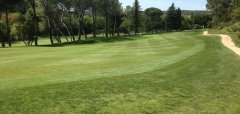 Club de Golf Lomas Bosque