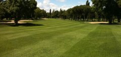 Club de Golf Lomas Bosque