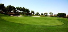 Alicante Golf