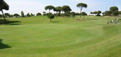 Golf Nuevo Portil