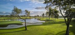 Golfové hřiště s jezírkem a palmami za slunečného dne
