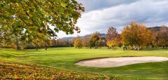Golfové hřiště s podzimními stromy a pískovým bunkrem
