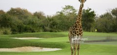 Leopard Creek Golf Club