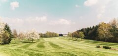 Zelené golfové hřiště s rozkvetlými stromy a modrou oblohou