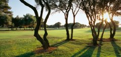 Son Antem Golf Resort