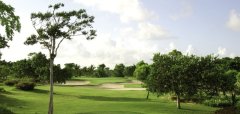 Cocotal Golf & Country Club