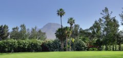 Campo de Golf Las Américas