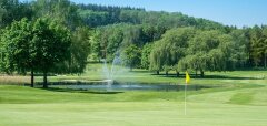 Golfové hřiště s jezírkem a fontánou za zelení stromů
