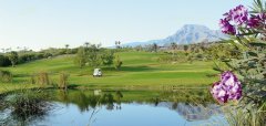 Melia Jardines del Teide