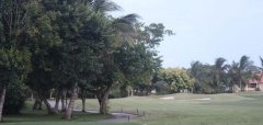 Cocotal Golf & Country Club