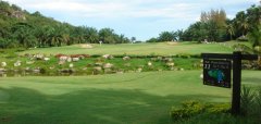 Palm Hills Golf Club