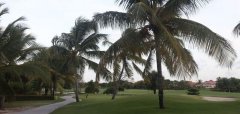 Cocotal Golf & Country Club