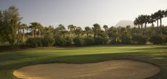 Melia Jardines del Teide