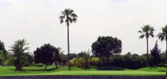 Real Club de Golf de Sevilla