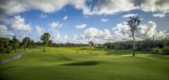 Golfové hřiště s hráči a stromy pod modrou oblohou