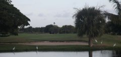 Cocotal Golf & Country Club