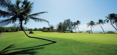 Ile aux Cerfs Golf Course