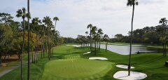 Golfové hřiště s palmami a jezírkem za greenem