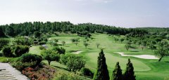 Arabella Golf Son Muntaner