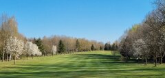 Zelené golfové hřiště s rozkvetlými stromy a modrou oblohou