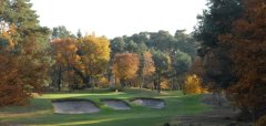 Fontainebleau Golf