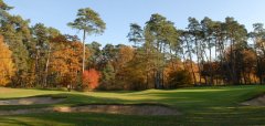 Fontainebleau Golf