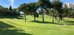 Golfové hřiště s trávníkem a stromy za slunečného dne