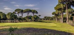 Cornelia Golf Club